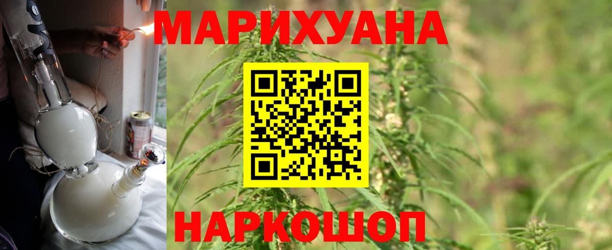 Конопля план Солнечногорск